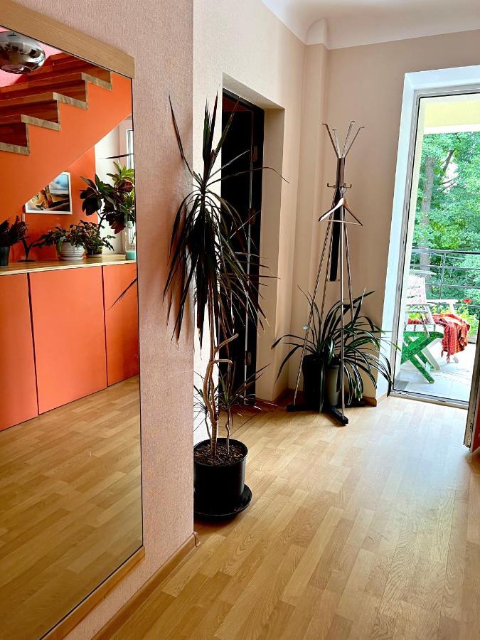 Studio Apartment And Free Airport Transfer Рига Экстерьер фото