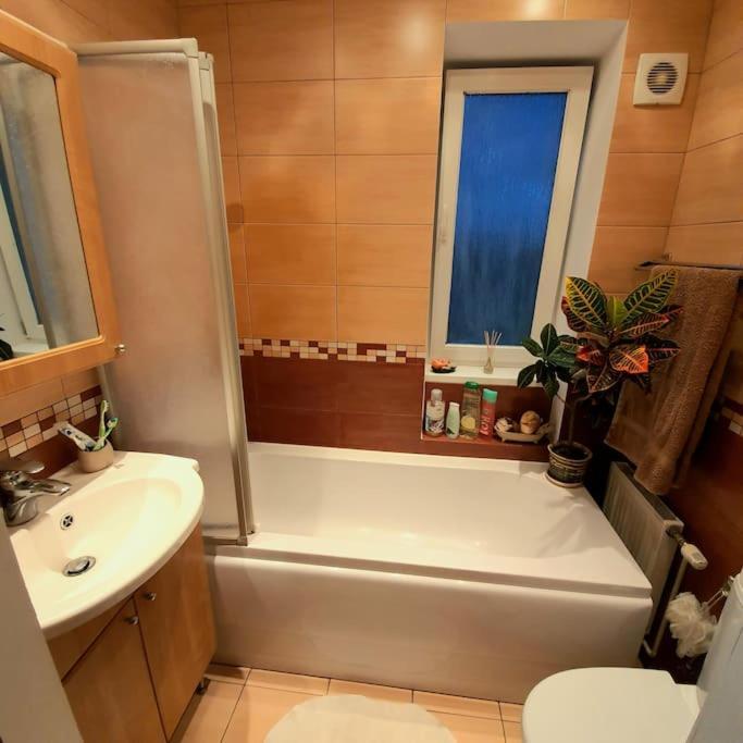Studio Apartment And Free Airport Transfer Рига Экстерьер фото